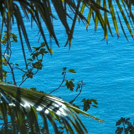 Stella 게스트하우스